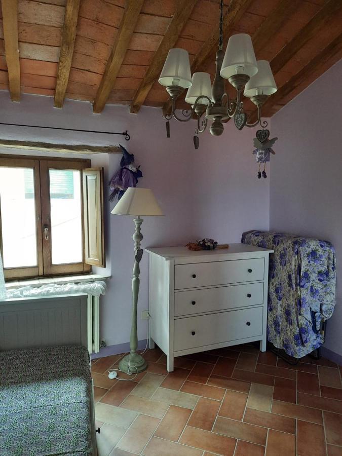 Al Piccolo Ulivo, A Casa Di Mimo&Se Villa Castiglione d'Orcia Ngoại thất bức ảnh